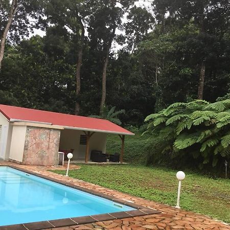 Les Lucioles 1 Beau T2 En Foret Tropicale Avec Acces Piscine Saint-Joseph Dış mekan fotoğraf