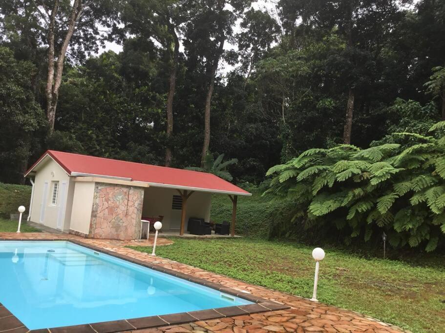 Les Lucioles 1 Beau T2 En Foret Tropicale Avec Acces Piscine Saint-Joseph Dış mekan fotoğraf