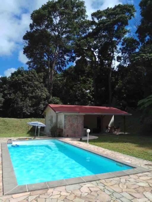 Les Lucioles 1 Beau T2 En Foret Tropicale Avec Acces Piscine Saint-Joseph Dış mekan fotoğraf